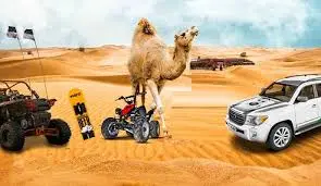 premium desert safari Dubai